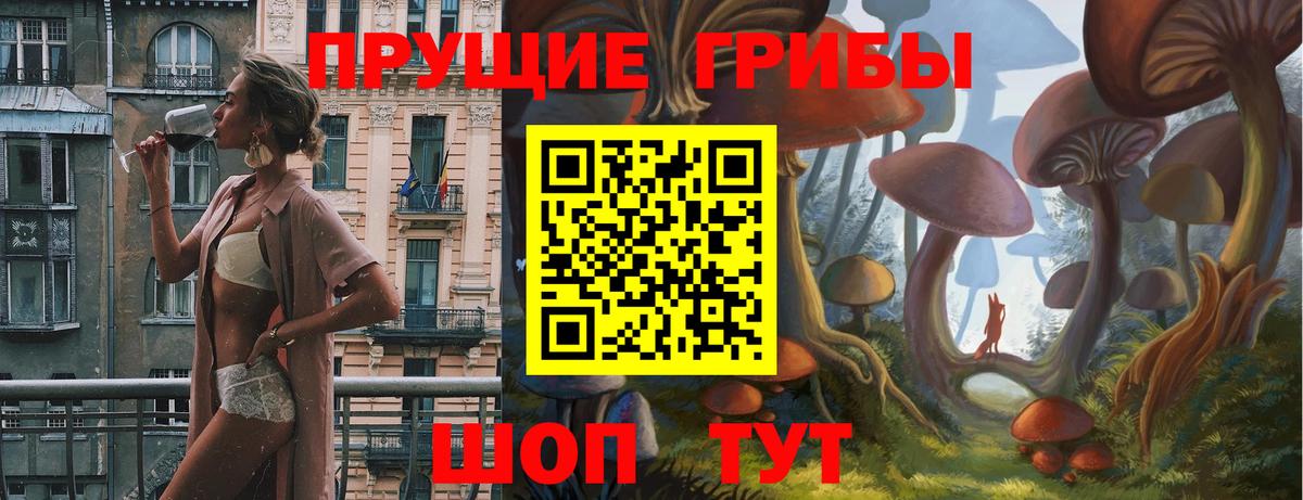Псилоцибиновые грибы Cubensis Кизляр