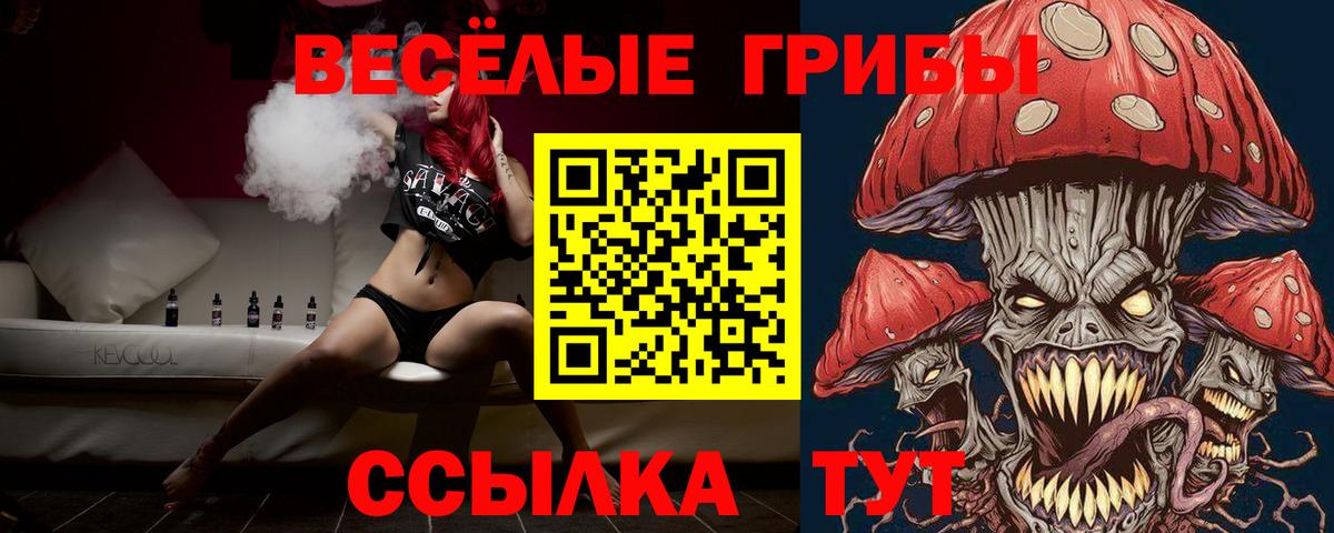 продажа наркотиков  Галлюциногенные грибы Magic Shrooms  Вход с VPN  Псилоцибиновые грибы прущие грибы  Кизляр 
